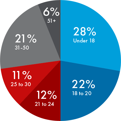 Pie chart showing headcount by age group.