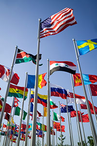photo of different country flags