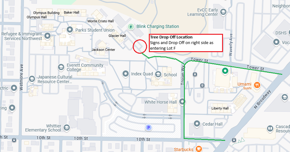 Tree drop-off location in Parking Lot F