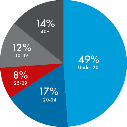 Pie chart showing headcount by age group.