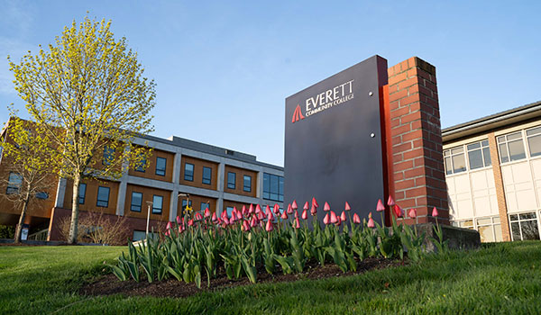Everett Community College sign with pink tulips planted around it. Buildings with a tree and blue skies in the background.