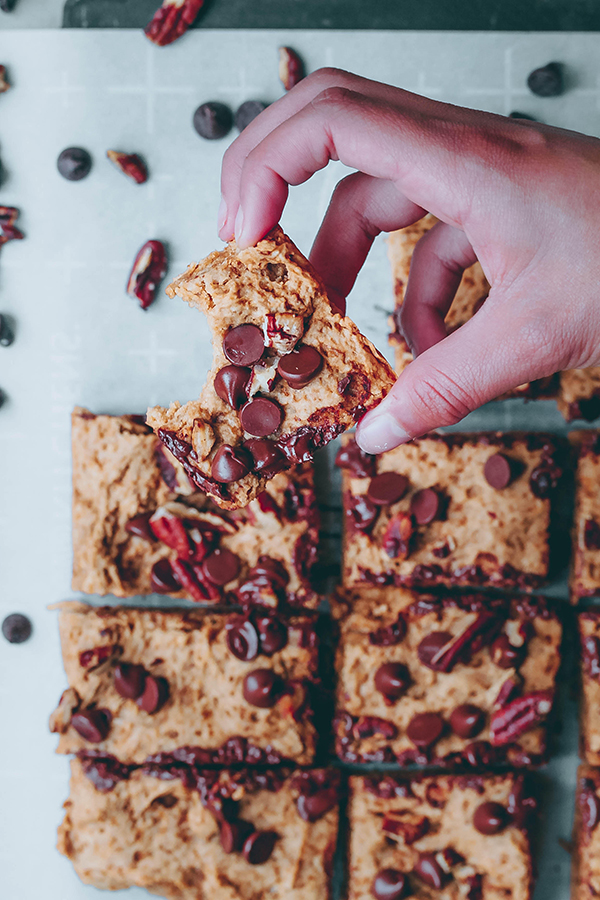 Chocolate Chip Peanut Butter Blondies 