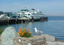 ferry