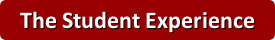 Student Experience
