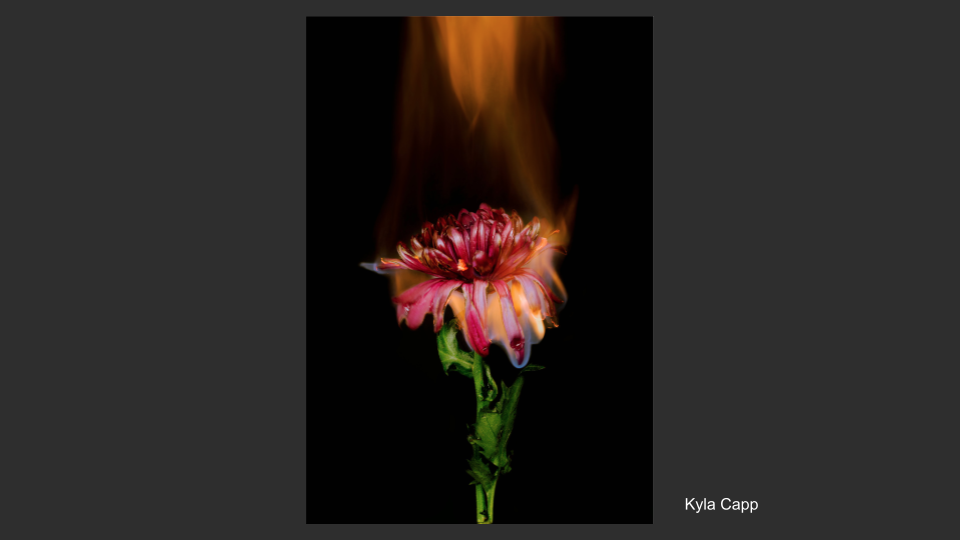 2024 RMD Scholarship winners (10)