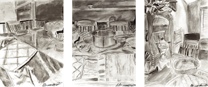 Alexsander Kim- charcoal triptych of various domestic items.