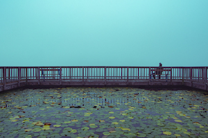 Andre Delgado- teal blue photo of a water lily filled pond with a small figure on a bench in the background.