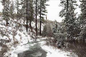 Jade Lofthouse- landscape photograph of a river in the depths of winter.
