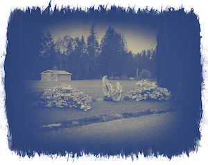 Julia Goodridge- digital cyanotype of a field. 