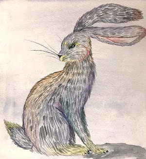 Katherine Fleek- ink and watercolor drawing of a hare.