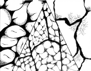 Reyna Davalos- ink drawing highlighting different textures flowing into one another.