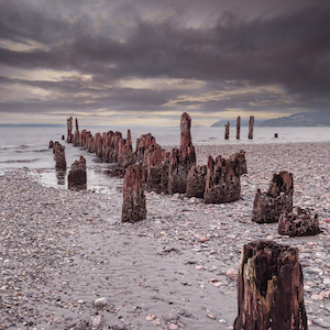 Bob Reese- photo of older pylons on a beach.