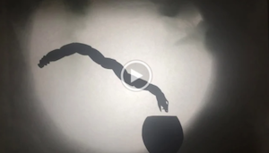 Siri Lowry- still from the shadow puppet video showing a snake and basket.