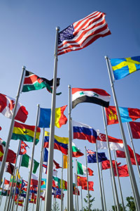 photo of different country flags