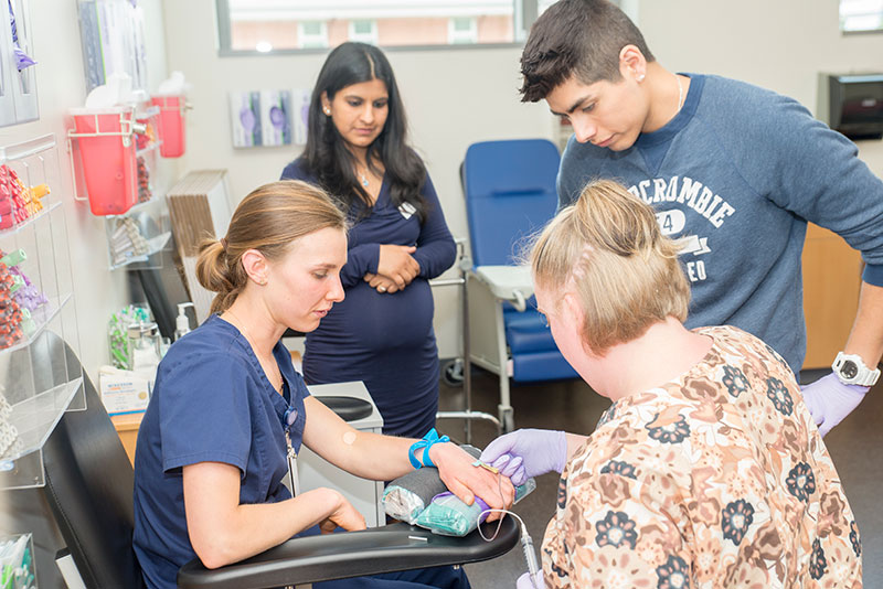 Phlebotomy Technician Training Program Everett Community College