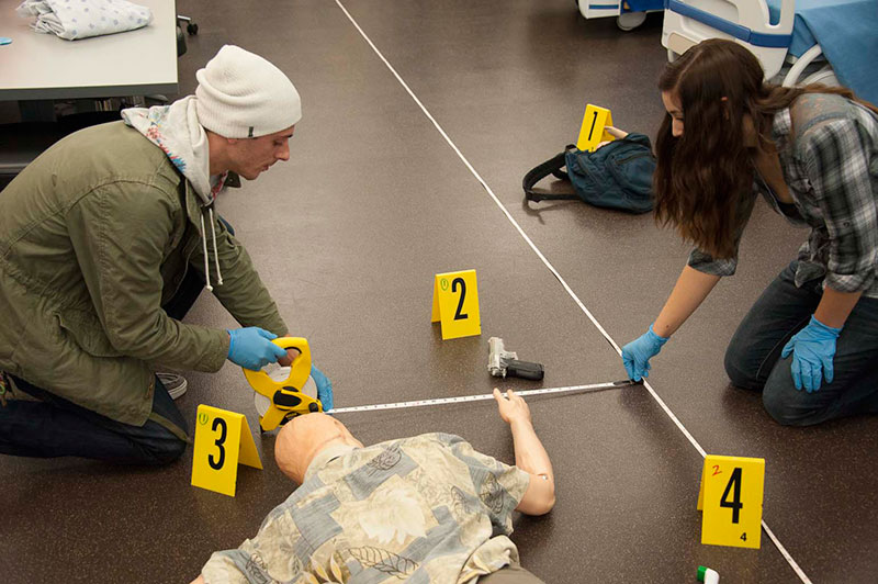 Criminal Justice Everett Community College