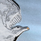 seagull