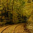 chris brown autumn