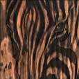 amber sutton wood zebra