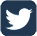 Twitter Icon