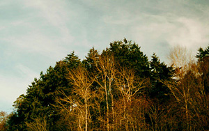 Progress over Nature by David Tufino
