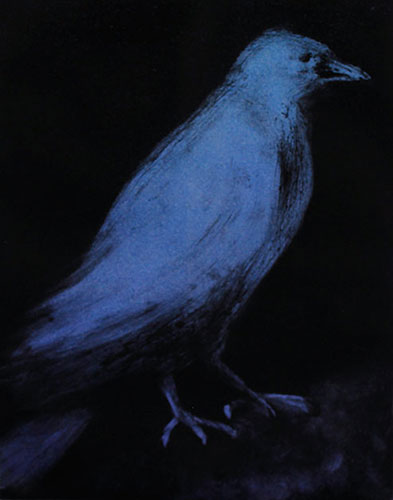 Blue Crow