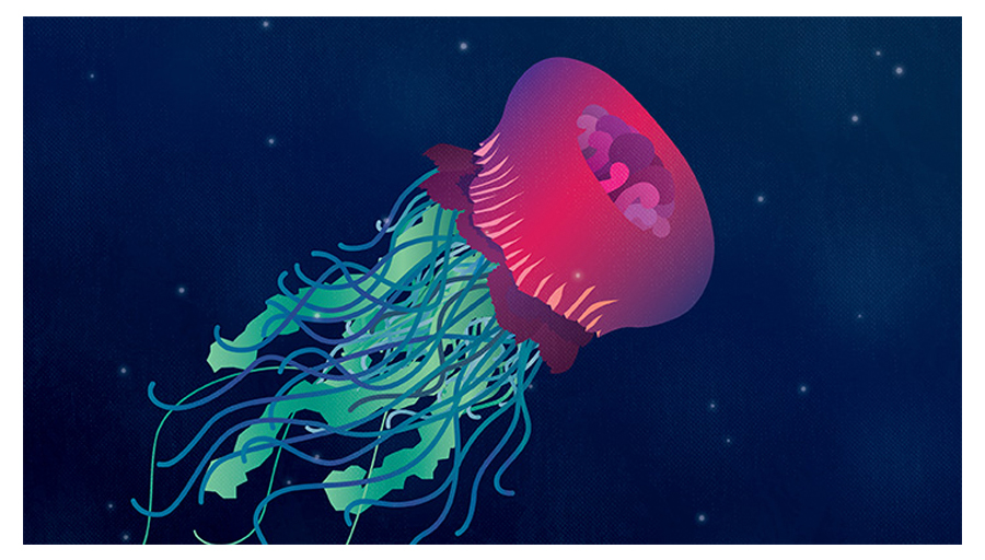 Adrift by Zachary Heyman