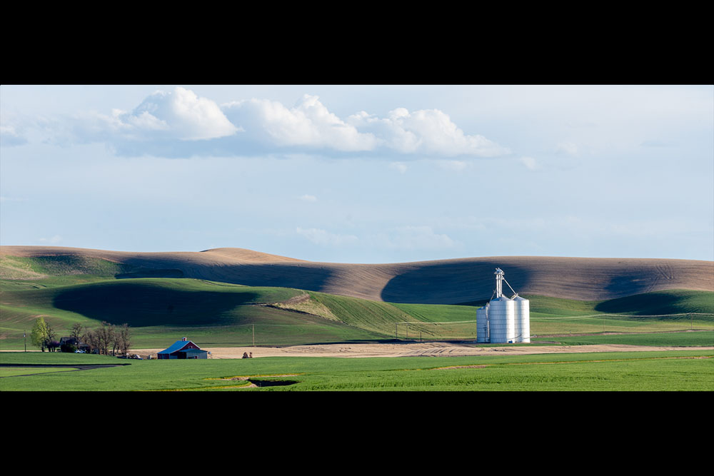 Waiting for Wheat in Waitsburg