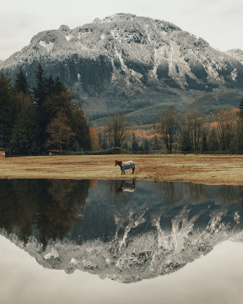 Washington State Reflections
