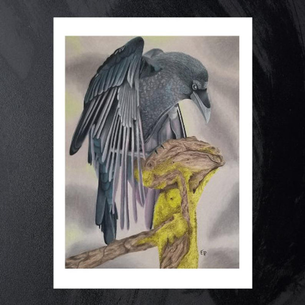 King of Crows