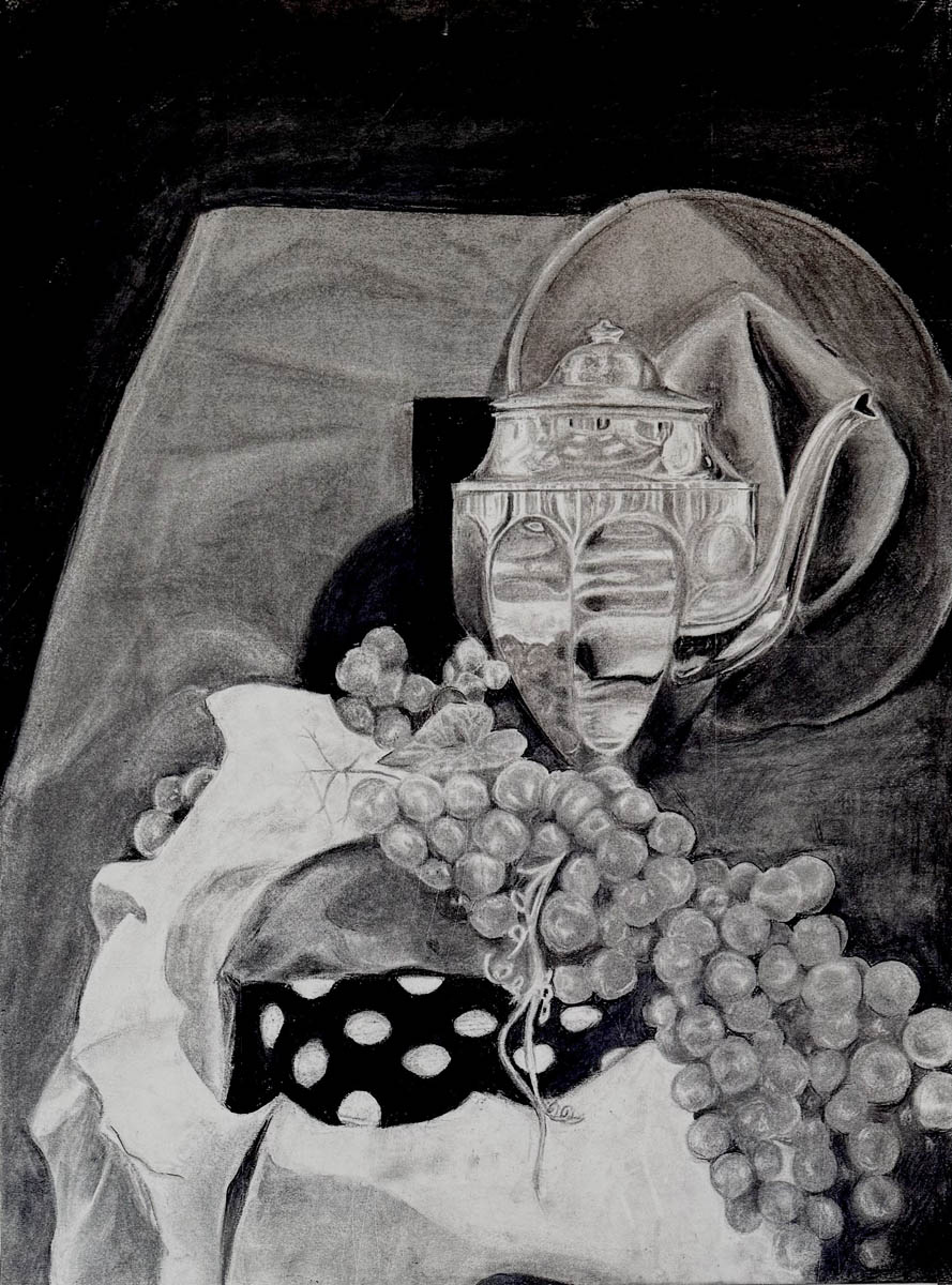 Shiny by Celes Caperoon (charcoal drawing)
