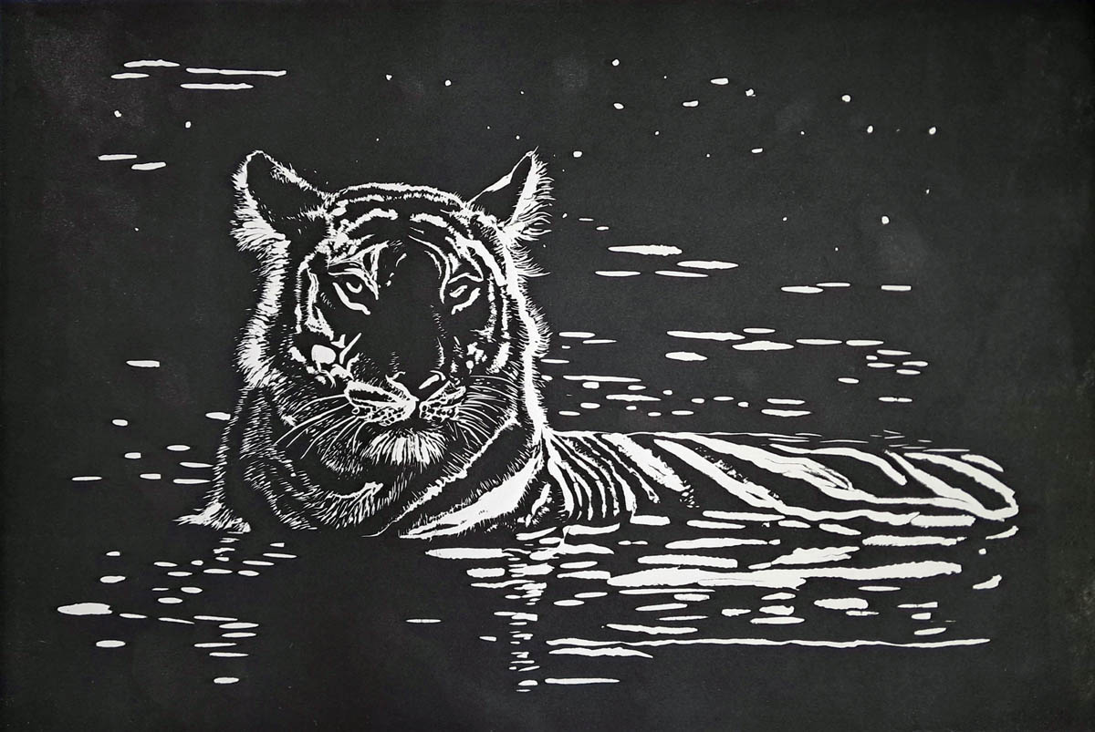 Print of a tiger staring intently toward the viewer with it's head and partial back sticking out of water on a black background.