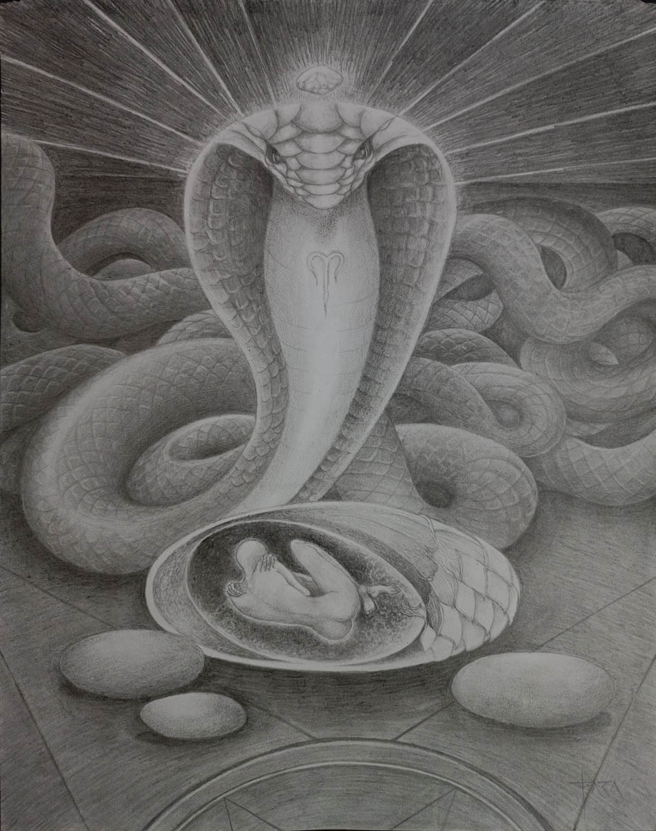 Graphite drawing of a giant snake with a glowing crystal floating above it's head and a symbol on its chest. An adult human fetus is pictured encased within one of several eggs in the foreground.